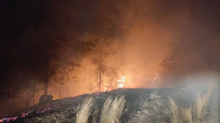 Osmaniye ve Mersin’deki yangınlar kontrol altına alındı – Son Dakika Türkiye Haberleri
