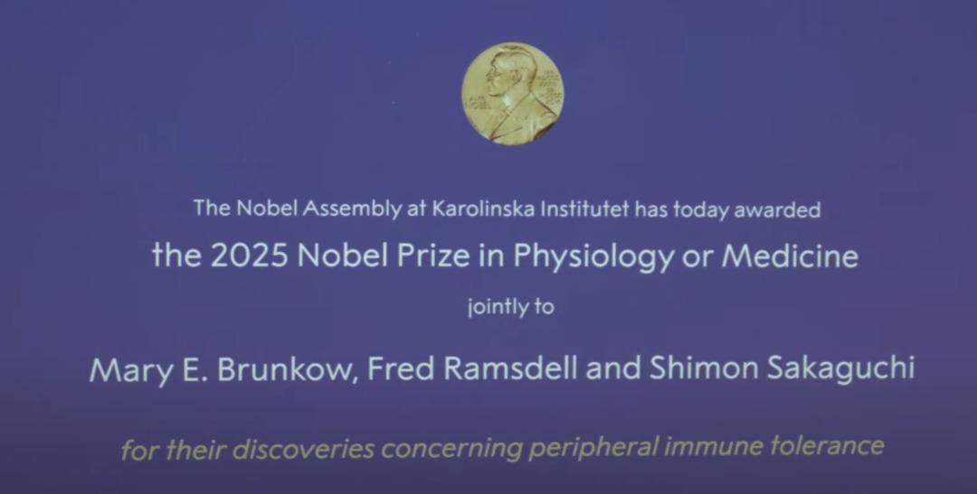 2025 Nobel Tıbbi Ödüllerinin sahipleri açıklandı! 2025 Nobel Tıp Ödülü'nü kim kazandı? 2